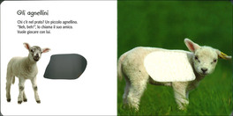 Cuccioli — Libro - 3