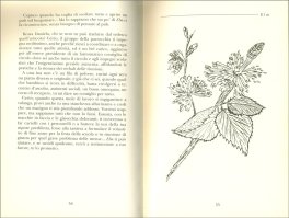 Cucinare con i Fiori — Libro - 3