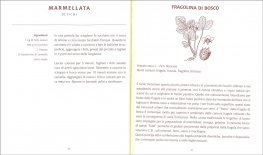 Cucinare con le Bacche e i Frutti del Bosco — Libro - 3