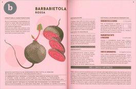 Cucinare Esaltare e Conservare le Verdure — Libro - 5