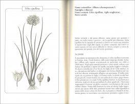 Cucinare le Erbe Selvatiche — Libro - 3