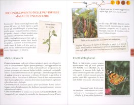 Curare l'Orto con i Preparati per la Difesa — Libro - 3