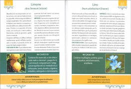 Curarsi con Erbe e Piante — Libro - 3