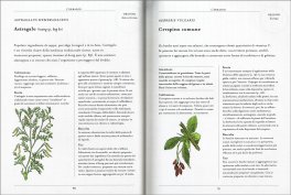 Curarsi con le Piante — Libro - 3