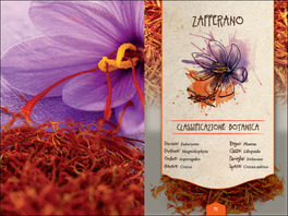 Curcuma, Zenzero, Peperoncino — Libro - 3