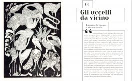 Curiosa Natura — Libro - 4