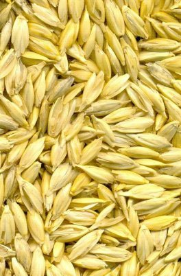 Cuscino Letto con Pula di Farro - Profumo Lavanda - 3