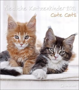 Cute Cats - 2021