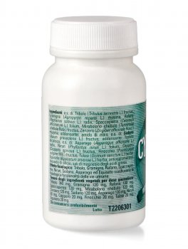 Cystonbi - 2