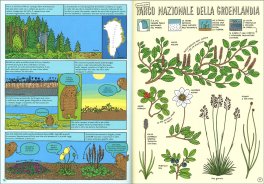 Da che Parte per Yellowstone? — Libro - 3