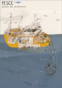Da Dove Arriva il Nostro Cibo? — Libro - 3
