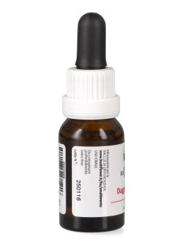 Dagger Hakea - Essenza Floreale Australiana Singola - 3