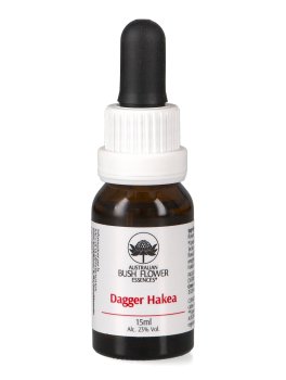 Dagger Hakea - Essenza Floreale Australiana Singola - 1