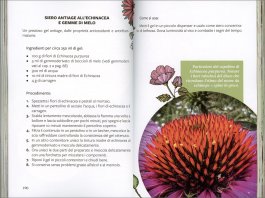 Dai Fiori alle Creme — Libro - 5