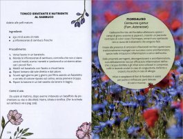 Dai Fiori alle Creme — Libro - 3