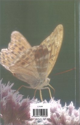 Dal Mondo Invisibile — Libro - 2