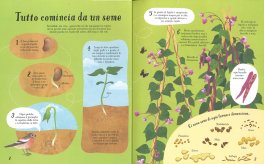 Dal Seme al Piatto - Alla Scoperta di... — Libro - 3