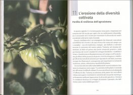 Dal Seme alla Tavola — Libro - 4