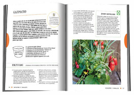 Dal Vaso al Piatto — Libro - 3