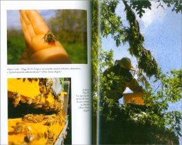Dall'Altra Parte dell'Affumicatore — Libro - 3
