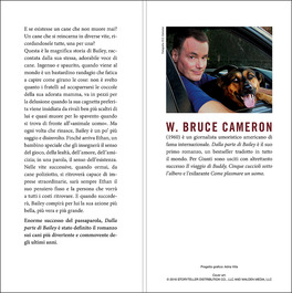 Dalla Parte di Bailey - Qua la Zampa! — Libro - 3