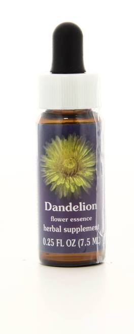 Dandelion - Fiori californiani - 1