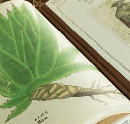 De Historia Stirpium - Cofanetto — Libro - 6