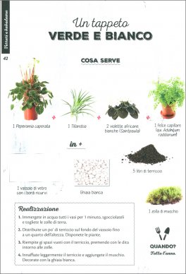 Deco Green — Libro - 3