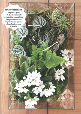 Deco Green — Libro - 4