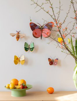 Decorazione da Parete 3D - Bellissima Butterfly - 4