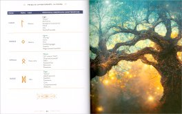 Dèi e Miti del Nord — Libro - 5