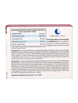 Demicos - 2