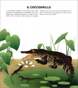 Dentro le Uova — Libro - 3