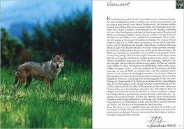 Der Italienische Wolf — Libro - 3