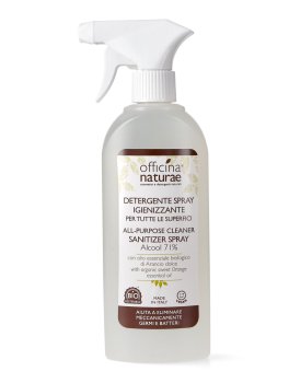 Detergente Spray Igienizzante per Tutte le Superfici - 1