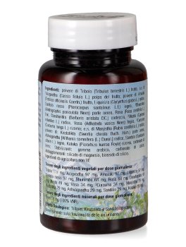Detoximap - 3