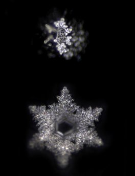 Devajal - Vitalizzatore per Acqua - 5