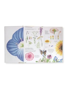 Di Seme in Frutto — Libro - 3