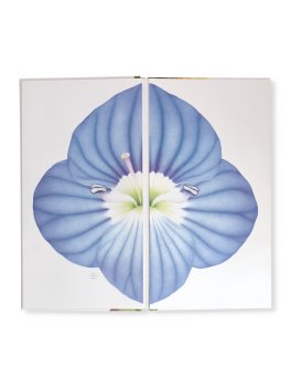 Di Seme in Frutto — Libro - 2