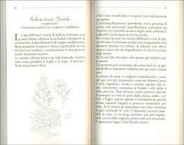 Di Seme in Meglio — Libro - 3