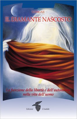 Il Diamante Nascosto — Libro - 1