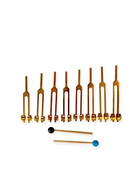 Diapason Chakra Set con Amplificatori - 2