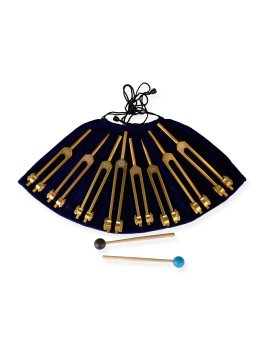 Diapason Chakra Set con Amplificatori - 1