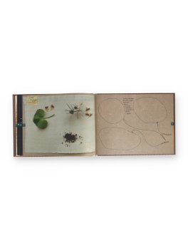Diario del Tempo Naturale — Libro - 4
