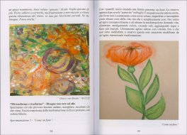 Diario di Evoluzione Interiore Attraverso i Colori — Libro - 3