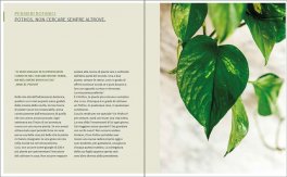 Diario di un Aspirante Pollice Verde — Libro - 4