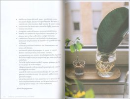 Diario di un'Aspirante Pollice Verde — Libro - 3