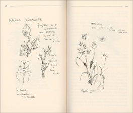 Diario di un Giardiniere Anarchico — Libro - 3