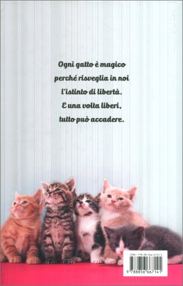 Dieci Piccoli Gatti — Libro - 2