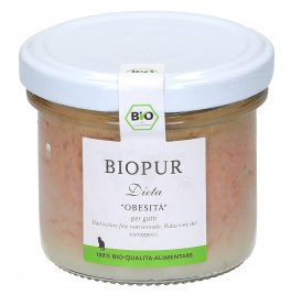 Dieta Obesità per Gatti